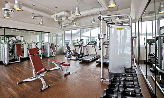 Caruso Affiliated for Industrial Home Gym with Technogym