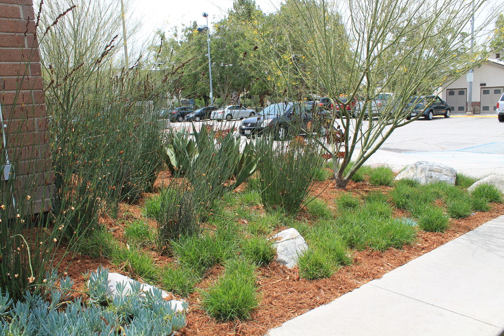 Chino Police Department for Traditional Spaces with Festuca Mairei