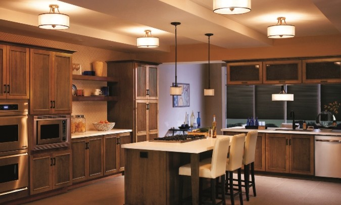 Crescent Electric Supply Company for Contemporary Spaces with Ceiling Lighting