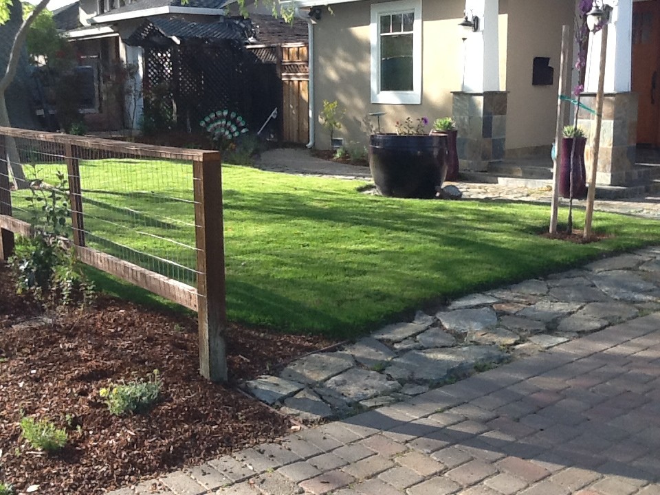 Delta Bluegrass for Contemporary Spaces with Delta Bluegrass Native Sod