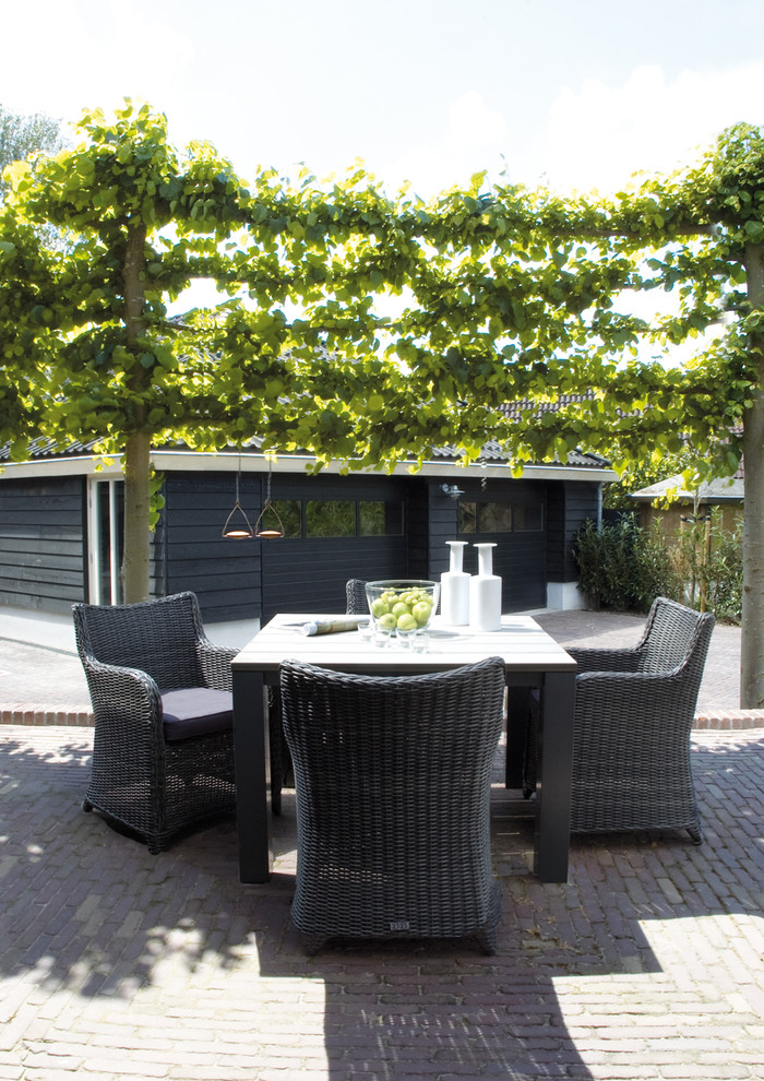 Espalier Fruit Trees for Contemporary Patio with Wicker Furniture