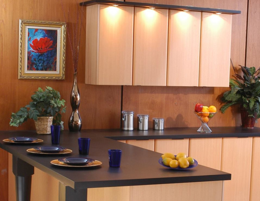 Executive Cabinetry for Modern Kitchen with Wood Cabinets