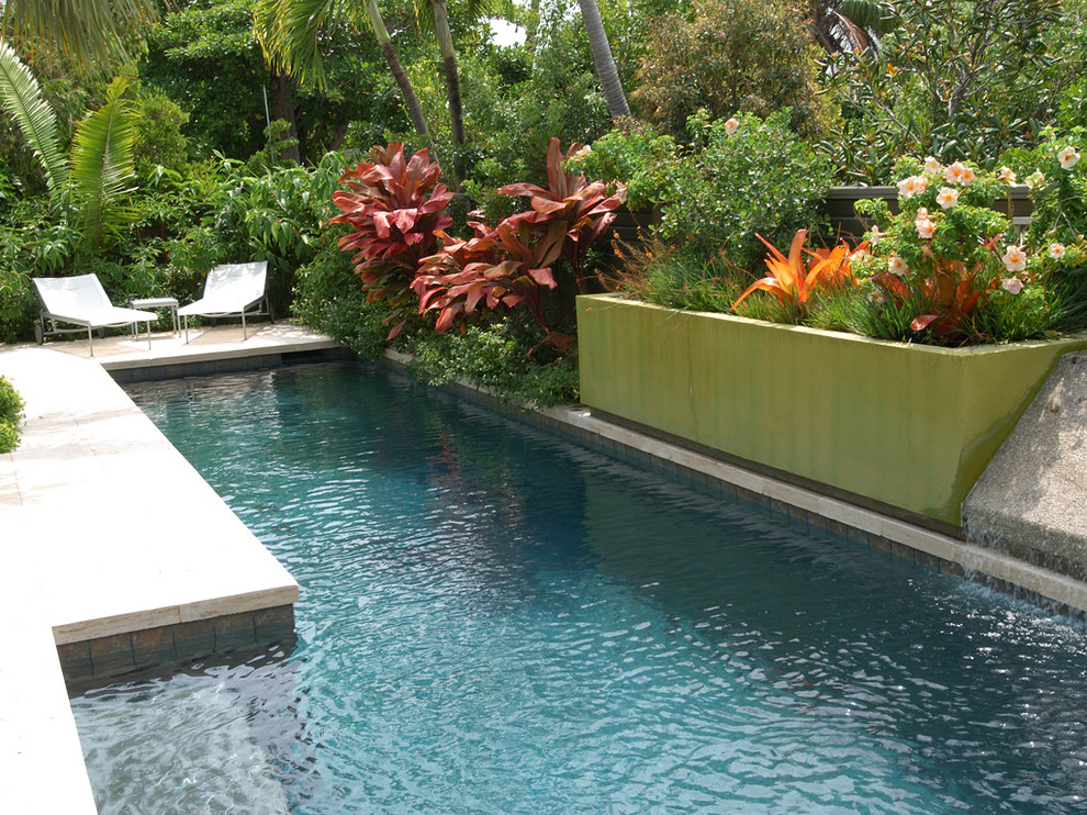 Islander Pools for Contemporary Pool with Pool Step