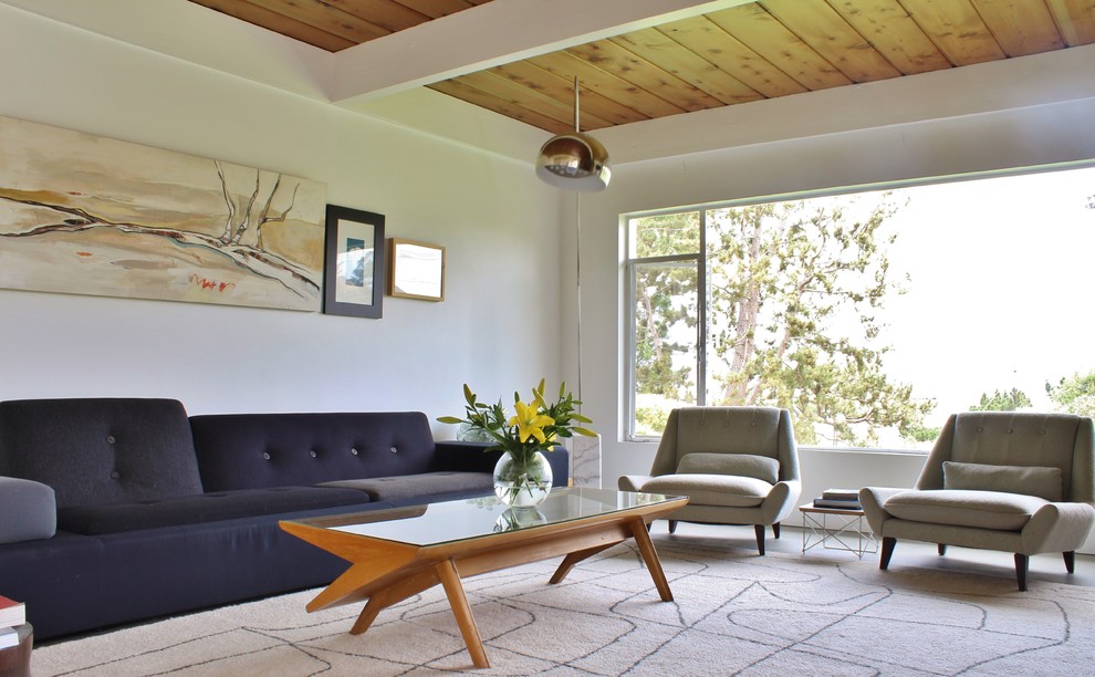 John Paras Furniture for Midcentury Living Room with One Story