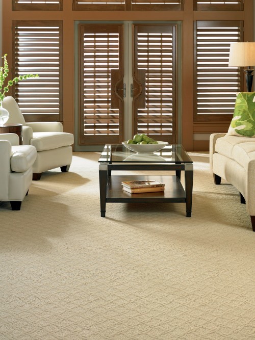 Kenny Carpets for Transitional Living Room with Transitional
