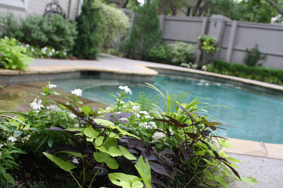 Monolithic Slab for Transitional Landscape with Low Maintenance