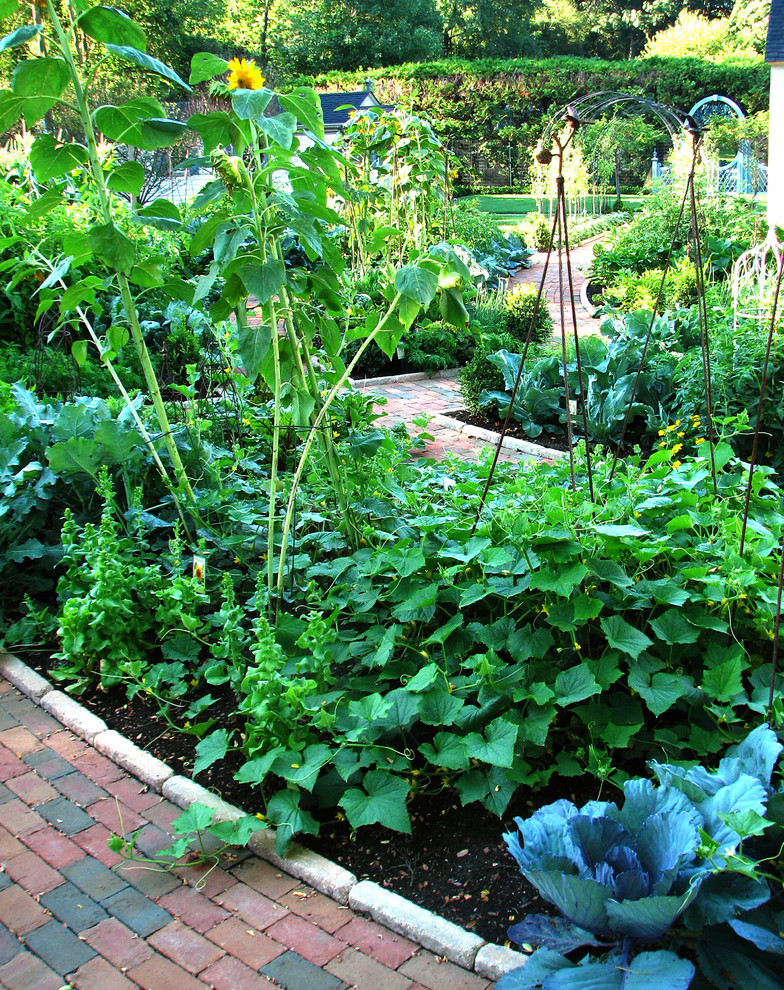 Potager Garden for Traditional Landscape with Traditional