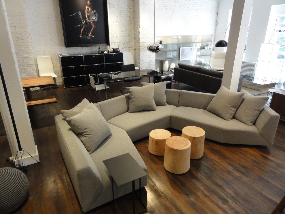 Riva Chicago for Modern Living Room with Custom Sofa Options