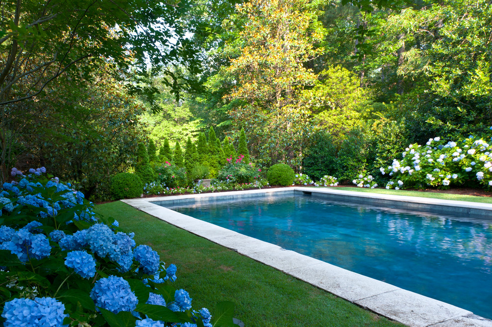 Teddy Bear Pools for Traditional Pool with Hydrangea