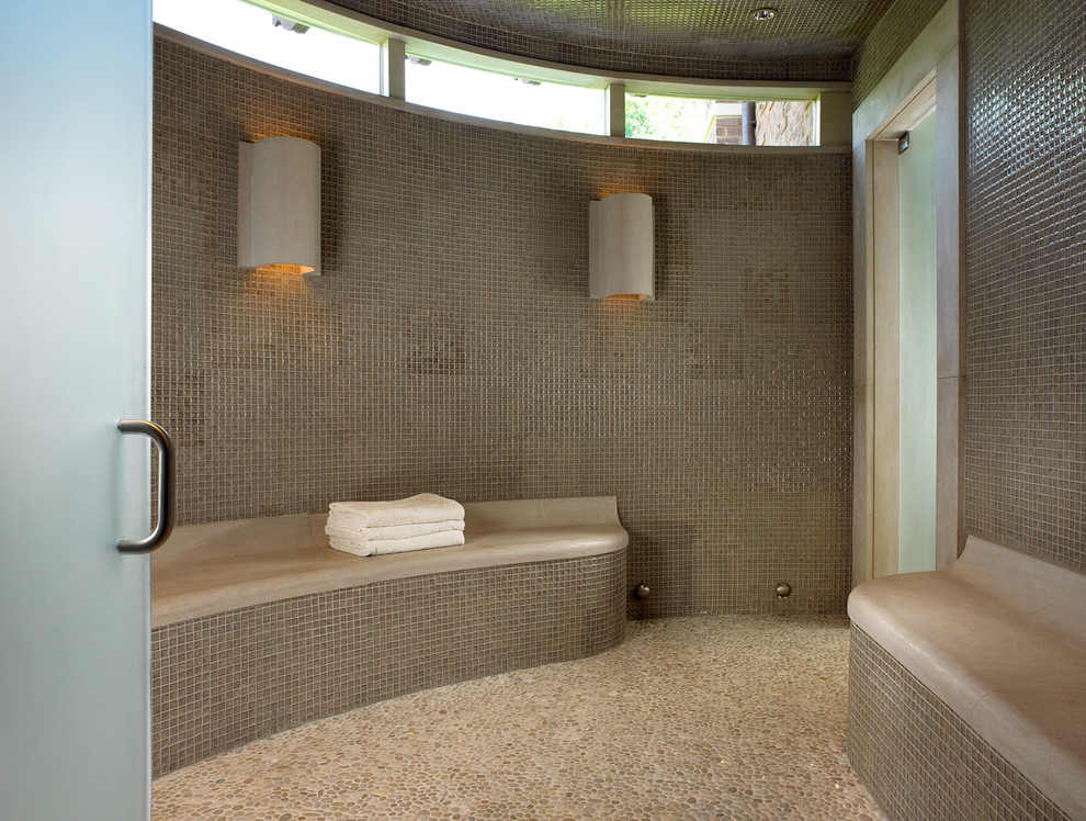 Thermasol for Contemporary Bathroom with Neutral Colors