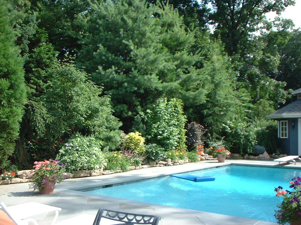 Tri State Pools for Traditional Pool with Traditional