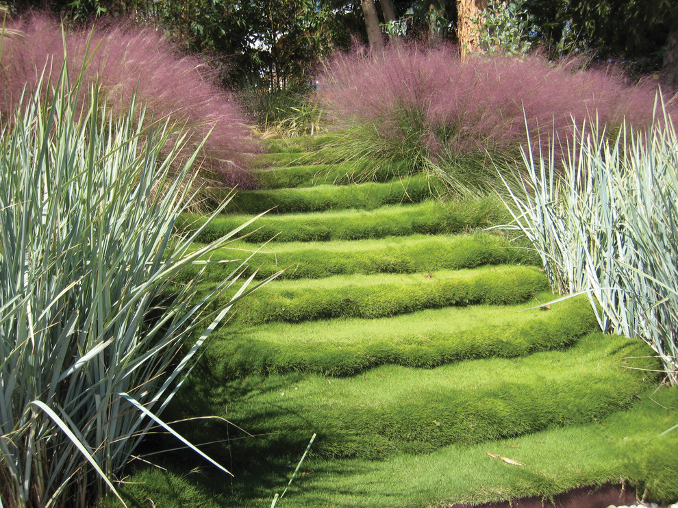 Artificial Grass Cost Landscape Contemporary with Grass Grass Step Grass