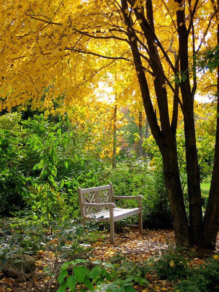 Average Kitchen Remodel Cost Landscape Traditional with Autumn Bench Canopy Cercidiphyllum