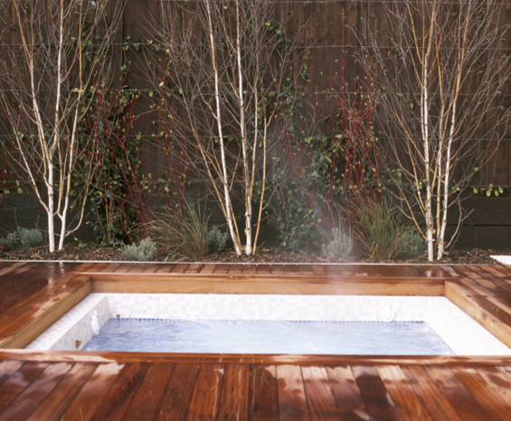 Backyard Hot Tub Patio Contemporary with None 