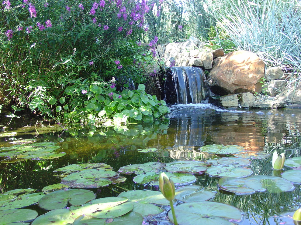 Backyard Koi Pond Landscape Traditional with Backyard Koi Pond Bog2