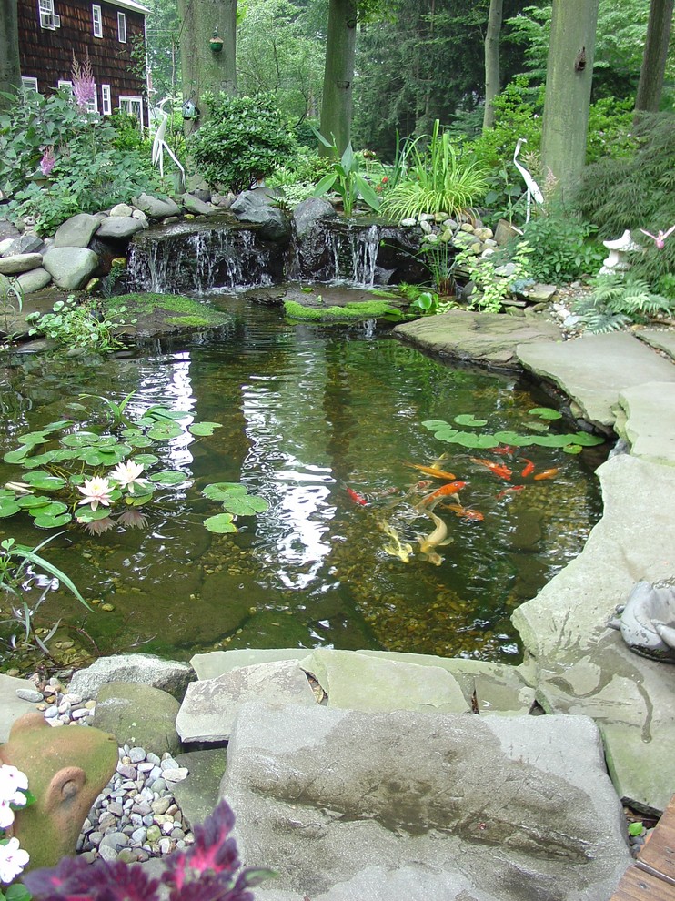 Backyard Koi Pond Landscape Traditional with Backyard Koi Pond Bog3