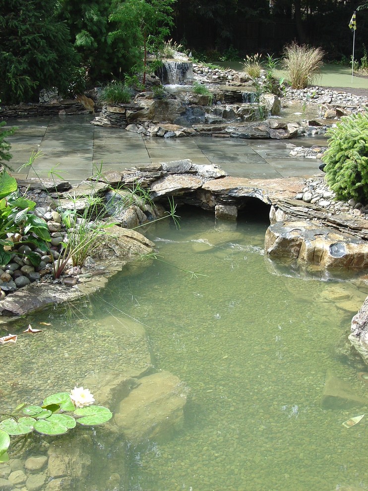 Backyard Koi Pond Spaces Traditional with Backyard Koi Pond Bog