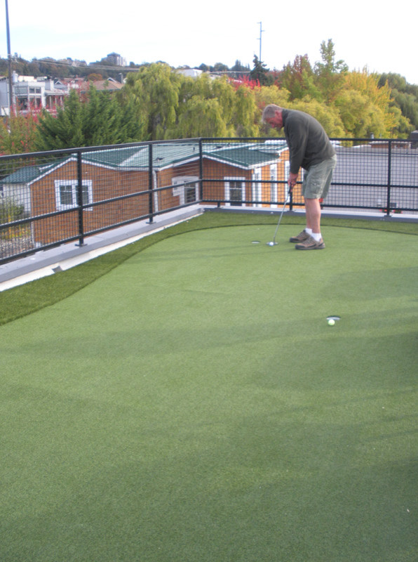 Backyard Putting Green Landscape Contemporary with Putting Green Roof Top