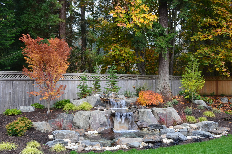 backyard water features Landscape Traditional with bushes grass lawn natural