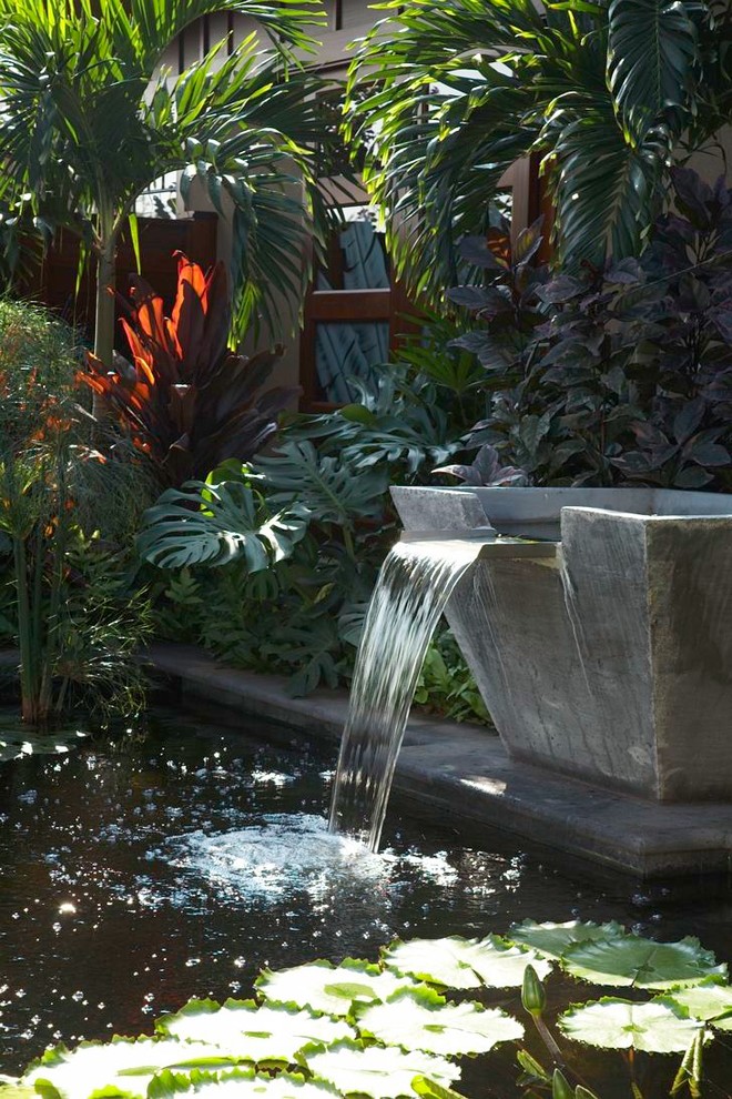 Backyard Water Features Landscape Tropical with Aquatic Garden Fountain Pond