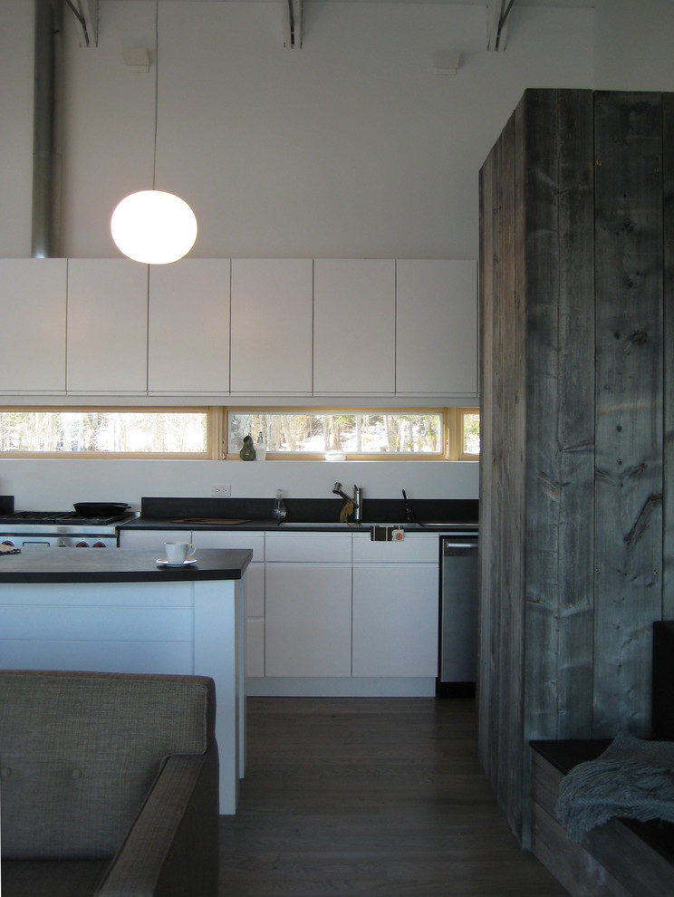Ball Pendant Light Kitchen Contemporary with Barnwood Entry Second Home