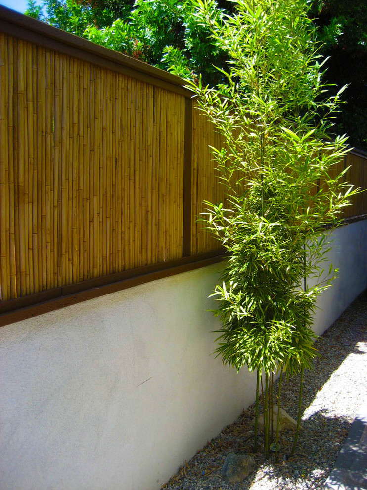 Bamboo Fence Ideas Landscape Asian with None 