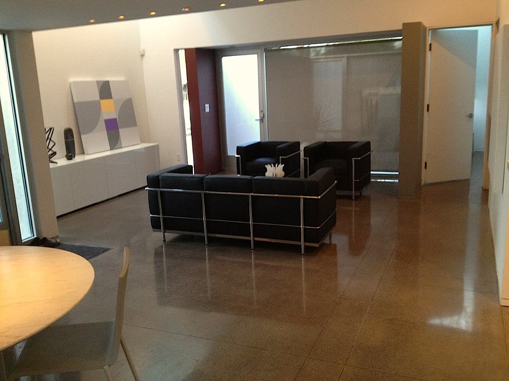 Barcelona Chair Replica Living Room Midcentury with Leather Sofa Mies Van