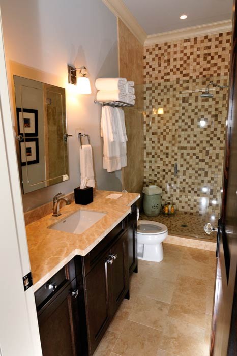 Basement Bathroom Design Basement Contemporary with None 