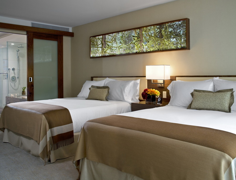 Bathroom Sliding Doors Bedroom Contemporary with Barn Door Bedskirt Dust