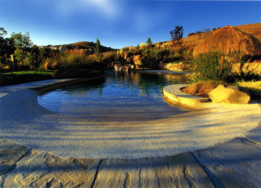 Beach Entry Pool Designs Pool Tropical with Beach Entry Pool Disappearing
