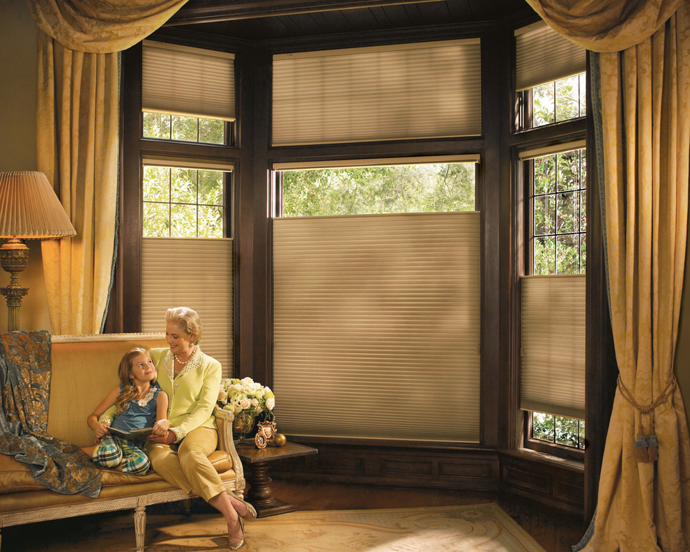 Blinds of All Kinds Family Room Traditional with Den Duette Hunter Douglas