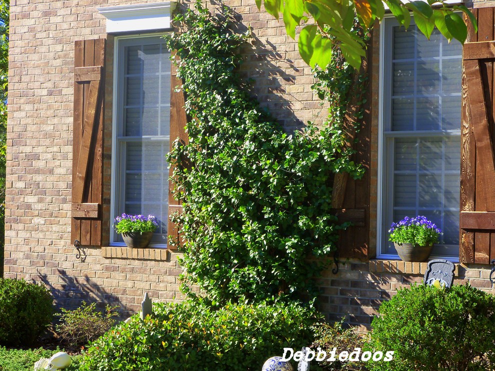 Board and Batten Shutters Exterior Rustic with Brick Wall Climbing Plants