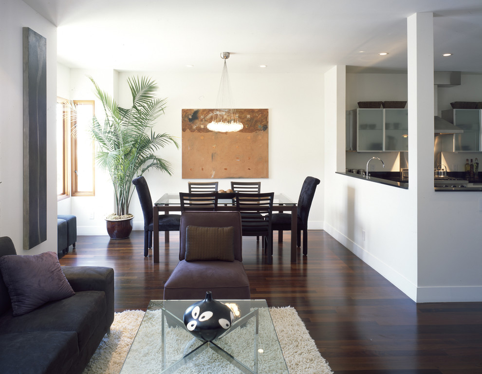 Brazilian Walnut Flooring Dining Room Contemporary with Area Rug Ceiling Lighting