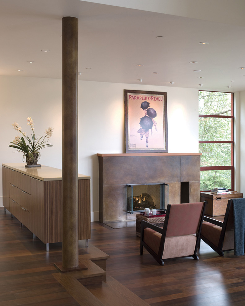 Brazilian Walnut Flooring Living Room Modern with Ceiling Lighting Columns Dark