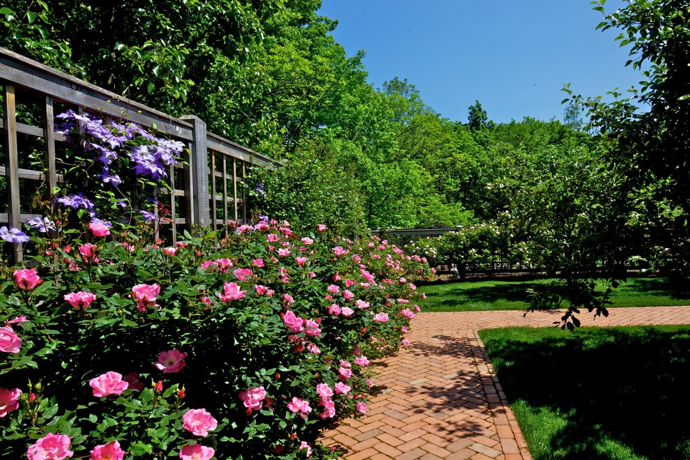 Brick Paver Patterns Landscape Traditional with Brick Pathway Clematis Dwarf