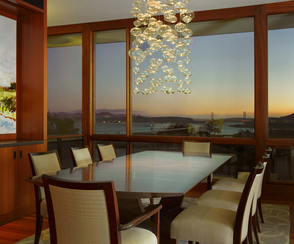 Bubble Pendant Light Dining Room Contemporary with Area Rug Built In