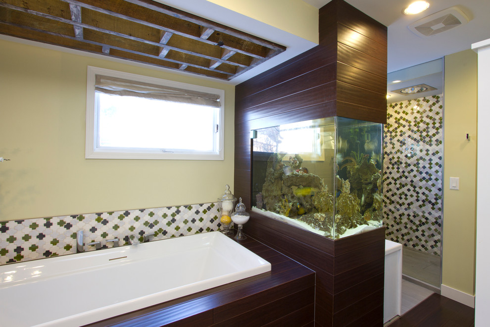 Built in Aquariums Bathroom Contemporary with Aquarium Art Bath Tub