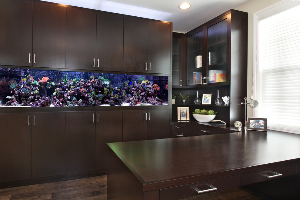 Built in Aquariums Home Office Contemporary with Aquarium Blinds Brown Office