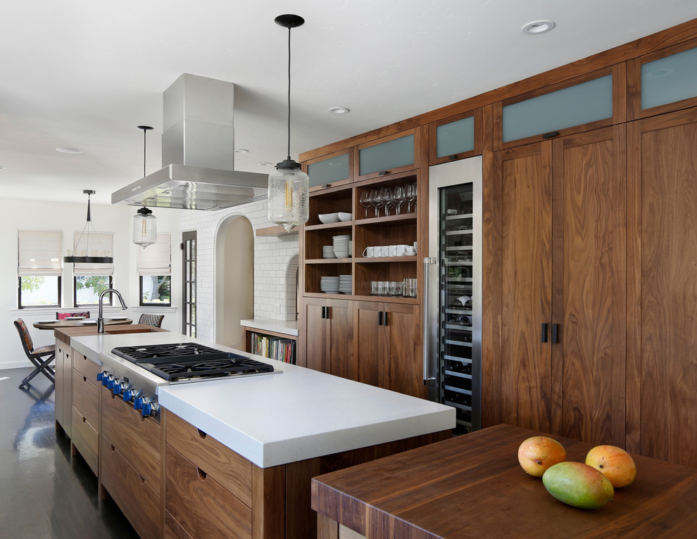 Cabinet Pulls Modern Kitchen Transitional with Arched Doorways Beaded Glass
