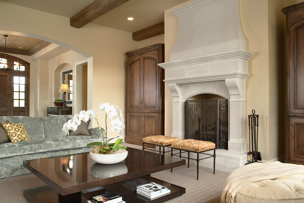 Cast Stone Fireplace Living Room Traditional with Arched Openings Armoire Carpeting
