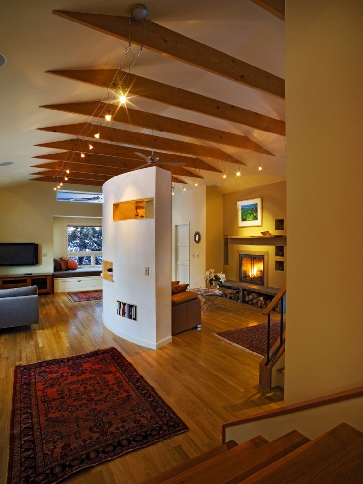 Ceiling Room Dividers Living Room Contemporary with Accent Rugs Area Rug