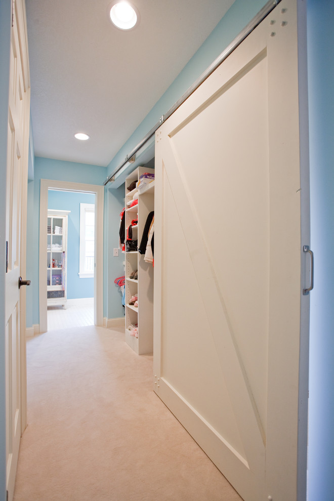 Closet Doors Ideas Hall Traditional with Barn Door Blue Paint