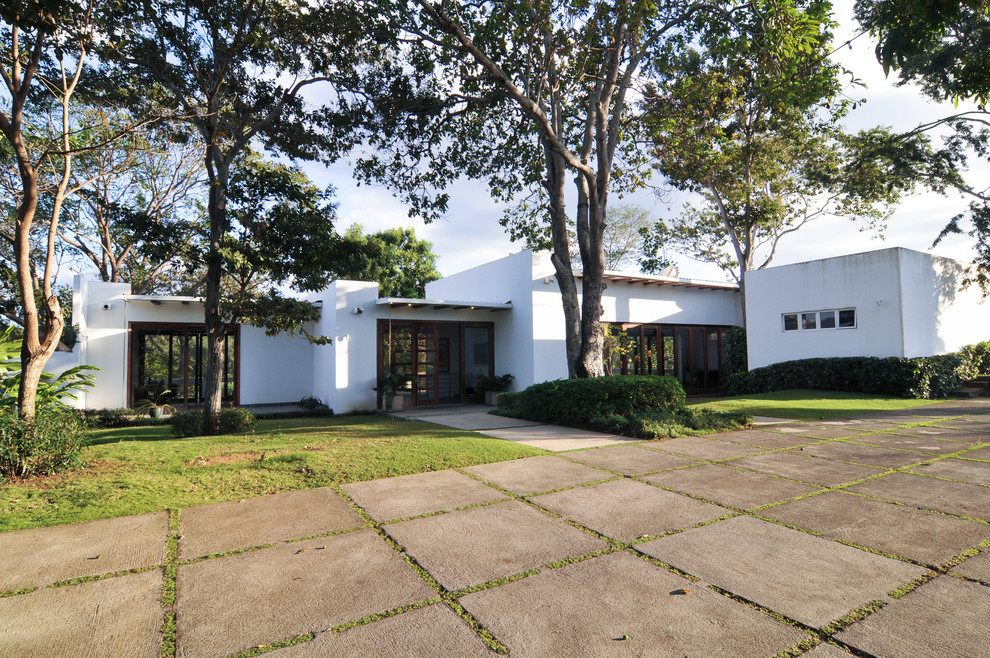 Concrete Driveway Ideas Exterior Transitional with None 