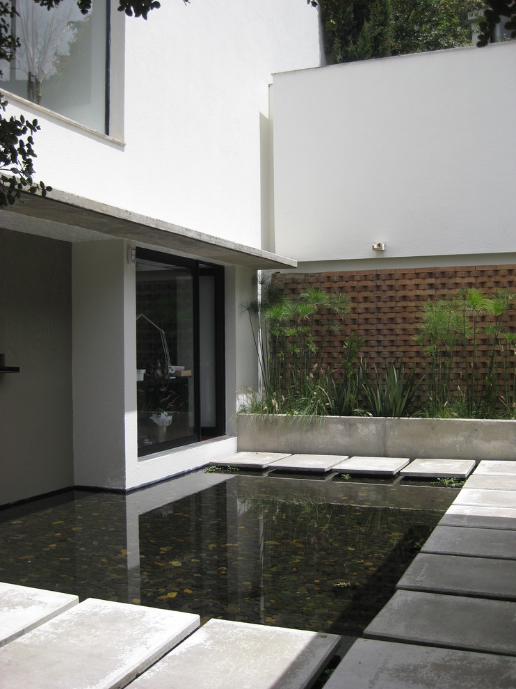 Concrete Stepping Stones Landscape Modern with Bridge Geometric Minimal Papyrus