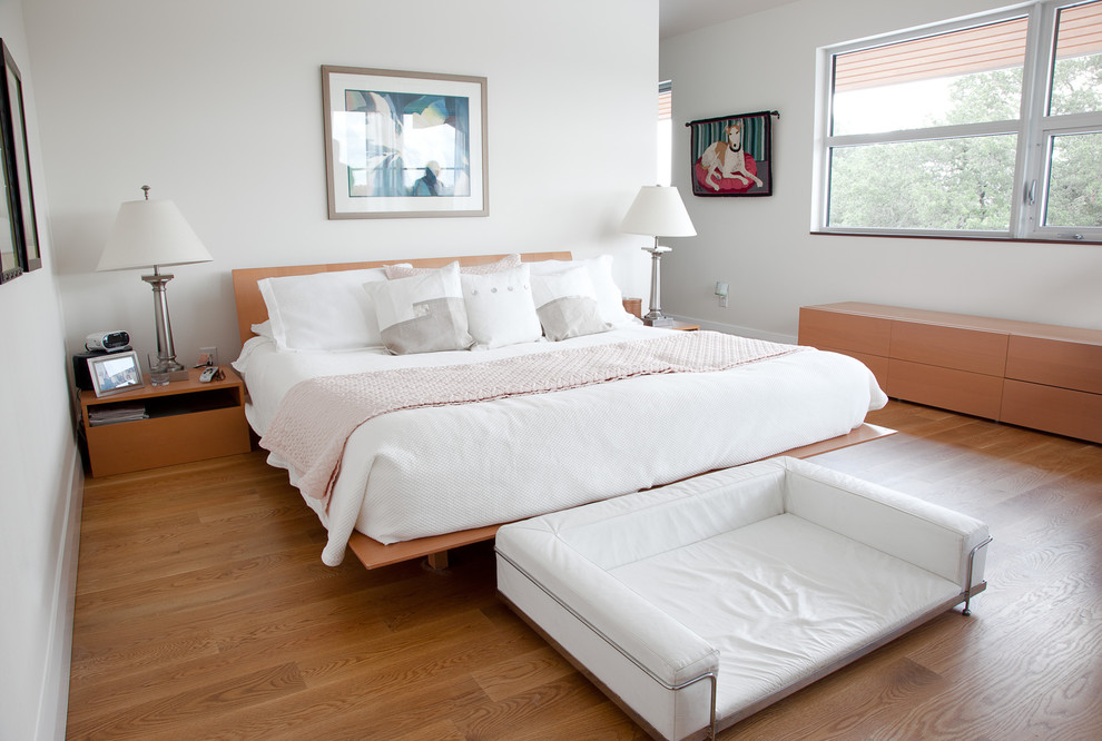 Contemporary Sofa Beds Bedroom Modern with Barcelona Dog Bed Bedroom