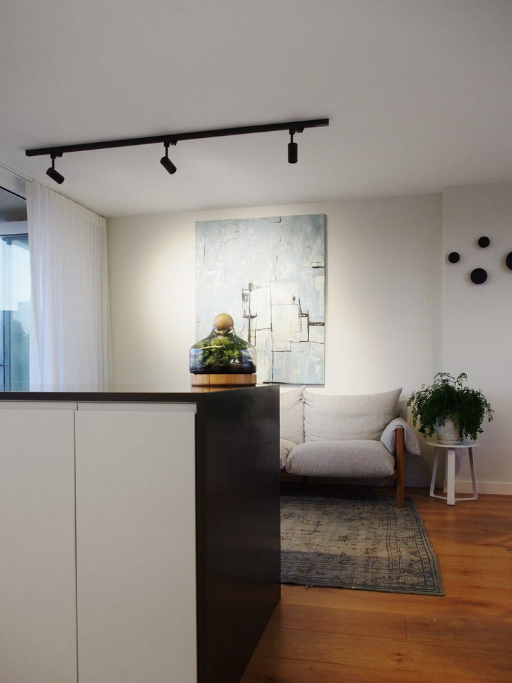 Cool Coat Hooks Kitchen Eclectic with Apartment Black and White