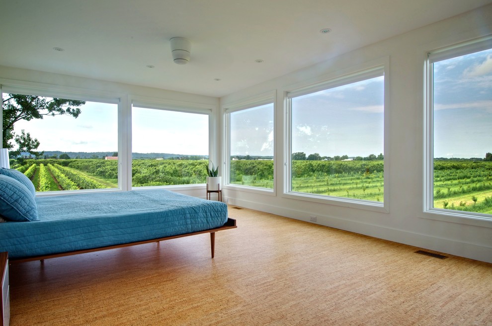 Cork Bathroom Flooring Bedroom Contemporary with Blue Bedding Corner Window