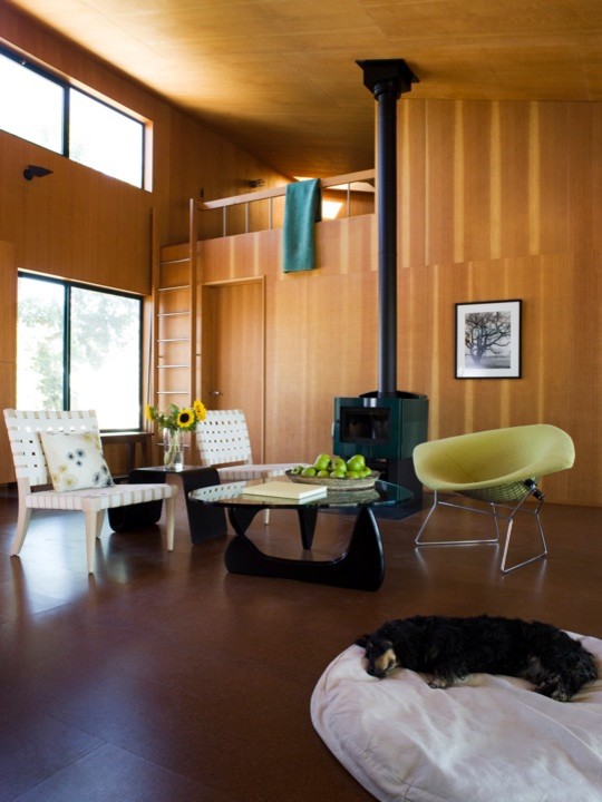 Corner Loft Bed Living Room Contemporary with None 