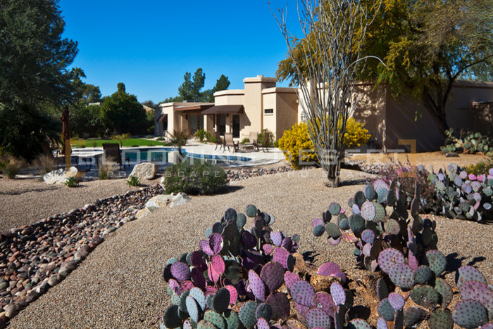 Desert Landscape Design Spaces with None 