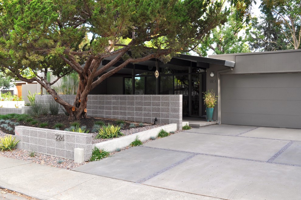 Desert Landscaping Ideas Landscape Modern with None 